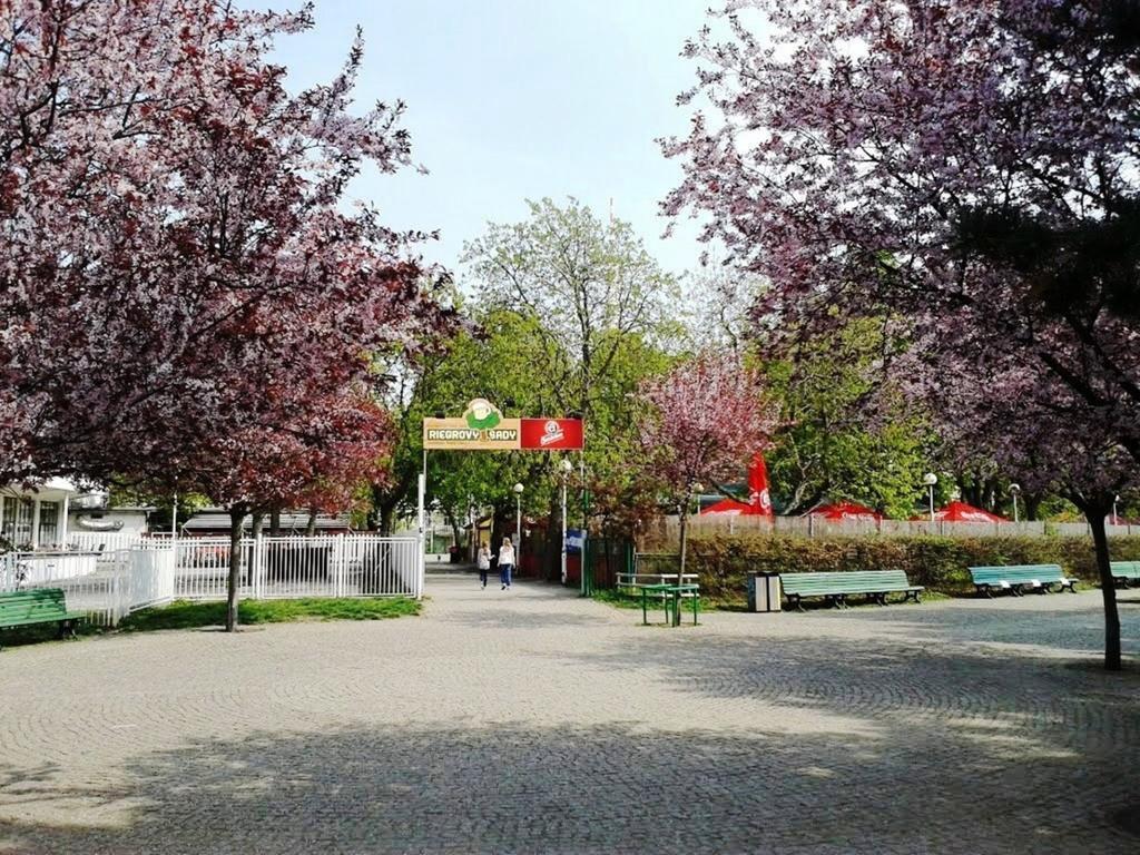 פראג Modern Apartment Riegrovy Sady מראה חיצוני תמונה